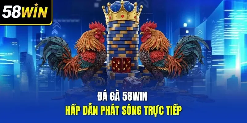 Đá gà 58WIN hấp dẫn phát sóng trực tiếp